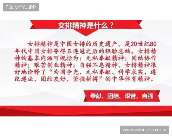 上海排球队的拼搏之路精英赛背后的奋斗与荣耀 上海排球队的拼搏之路精英赛背后的奋斗与荣耀