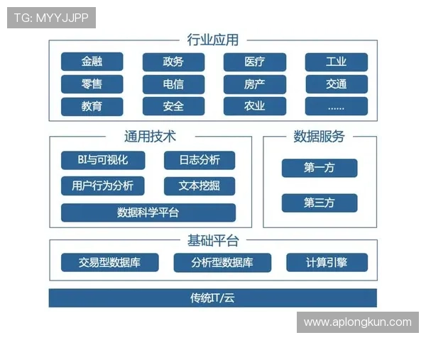 北京篮球队总决赛技术分析与表现评估全面解读