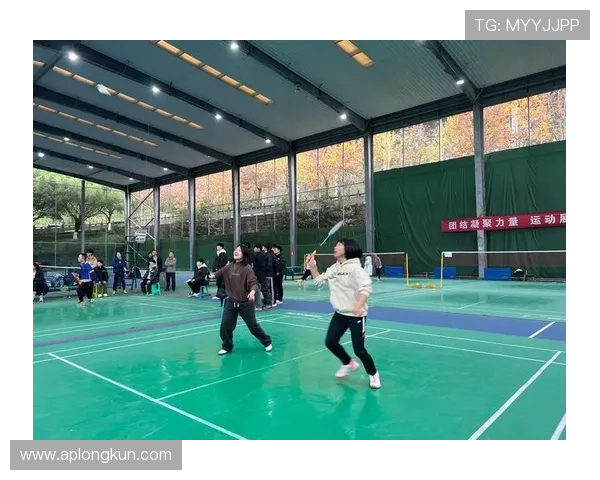 成都与深圳羽毛球队赛后分析与经验总结探讨 成都与深圳羽毛球队赛后分析与经验总结探讨