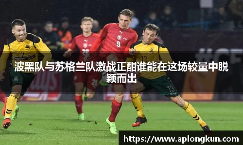 波黑队与苏格兰队激战正酣谁能在这场较量中脱颖而出